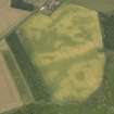 Oblique aerial view of the cropmarks of the circular enclosures at Springfield, looking N.