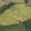 Oblique aerial view of the cropmarks of the circular enclosures at Springfield, looking NW.