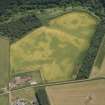 Oblique aerial view of the cropmarks of the circular enclosures at Springfield, looking SE.