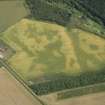 Oblique aerial view of the cropmarks of the circular enclosures at Springfield, looking E.