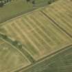 Oblique aerial view of the cropmarks of the Roman fort at Newstead, looking NE.