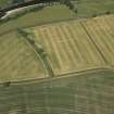 Oblique aerial view of the cropmarks of the Roman fort at Newstead, looking N.