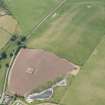 Oblique aerial view of soilmarks and parchmarks of the fort at Clifton Hill, looking W.