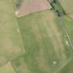 Oblique aerial view of soilmarks and parchmarks of the fort at Clifton Hill, looking E.