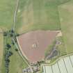 Oblique aerial view of soilmarks and parchmarks of the fort at Clifton Hill, looking W.