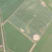 Oblique aerial view of the geological cropmarks, looking W.
