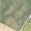 Oblique aerial view of the cropmarks of the cursus and other features at Preston Mains, looking SW.
