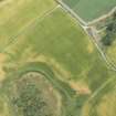 Oblique aerial view of the cropmarks of the enclosure, possible roundhouse and pits, looking E.