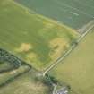 Oblique aerial view of the cropmarks of the enclosure, possible sunken floored building and pits, looking SSE.