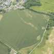 Oblique aerial view of the cropmarks of the possible enclosure, looking SE.