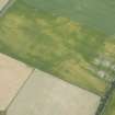 Oblique aerial view of the cropmarks of the rig and a possible enclosure, looking SE.