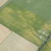 Oblique aerial view of the cropmarks of the rig and a possible enclosure, looking SE.