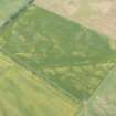 Oblique aerial view of the cropmarks of the ring ditches and structures, looking ESE.