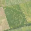 Oblique aerial view of the cropmarks of the ring ditches and strcutures, looking W.