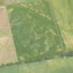 Oblique aerial view of the cropmarks of the ring ditches and a possible enclosure, looking W.