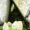 On-line Digital Images On-line Digital Images