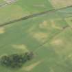 Oblique aerial view of the cropmarks of the round houses, enclosures and pits, looking S.