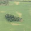 Oblique aerial view of the cropmarks of the enclosures and pits, looking SSE.