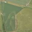 Oblique aerial view of the cropmarks of the ring ditches and pits, looking ESE.