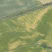 Oblique aerial view of the cropmarks of the palisaded enclosures, looking SE.