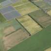 Oblique aerial view of the cropmarks at Craigmill, looking N.