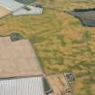 Oblique aerial view of the cropmarks of the palisaded settlements, round houses and pits at Ironshill, Inverkeilor, looking S.