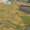 Oblique aerial view of the cropmarks of the palisaded settlements, round houses and pits at Ironshill, Inverkeilor,  looking SE.