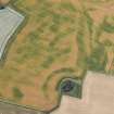 Oblique aerial view of the cropmarks of the unenclosed and palisaded settlements, enclosures, linear features and pits, looking SW.