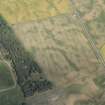 Oblique aerial view of the cropmarks of the unenclosed settlement at Chapelton, looking N.