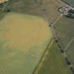 Oblique aerial view of cropmarks of the cursus, enclosures, ring ditches and barrows at Old Montrose, looking SW.