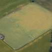 Oblique aerial view of cropmarks of the cursus, enclosures, ring ditches and rig at Old Montrose, looking S.