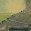 Oblique aerial view of cropmarks of the cursus, enclosures, settlement and barrows, looking SE.