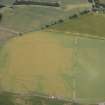Oblique aerial view of cropmarks of the cursus, enclosures, settlement and barrows at Old Montrose, looking NW.