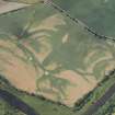 Oblique aerial view of cropmarks of the enclosure and rig, looking SW.