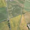 Oblique aerial view of cropmarks of the enclosure, ring ditch, pits and rig, looking ESE.