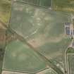 Oblique aerial view of cropmarks of the enclosure, settlement and rig, looking ESE.