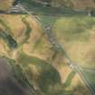 Oblique aerial view of cropmarks of the Roman camp, linear features, enclosures, ring ditches and rig, looking NW.