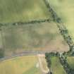 Oblique aerial view of the cropmarks of the unenclosed settlement, pits and rig, looking N.