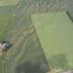 Oblique aerial view of the cropmarks (natural in the main) at Powburn, looking SSE.