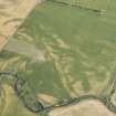 Oblique aerial view of the cropmarks at Drumnagair and Pitgarvie, looking W.