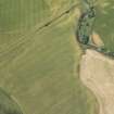 Oblique aerial view of the cropmarks at Drumnagair, looking W.