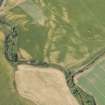 Oblique aerial view of the cropmarks at Drumnagair, looking WSW.