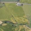 Oblique aerial view of the cropmarks at Drumnagair, looking SE.