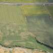 Oblique aerial view of the cropmarks at Drumnagair, looking SE.