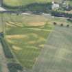 Oblique aerial view of the cropmarks at 'Montgomery's Knap', looking SSE.