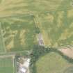 Oblique aerial view centred on the cropmarks at Ballownie, looking NW.