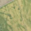 Oblique aerial view of the cropmarks at Inchbare South, looking SE.