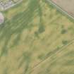 Oblique aerial view of the cropmarks at Inchbare South, looking N.