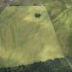Oblique aerial view of the pit alignment, Roman road and enclosure at Battledykes, looking W.
