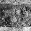 On-line Digital Images